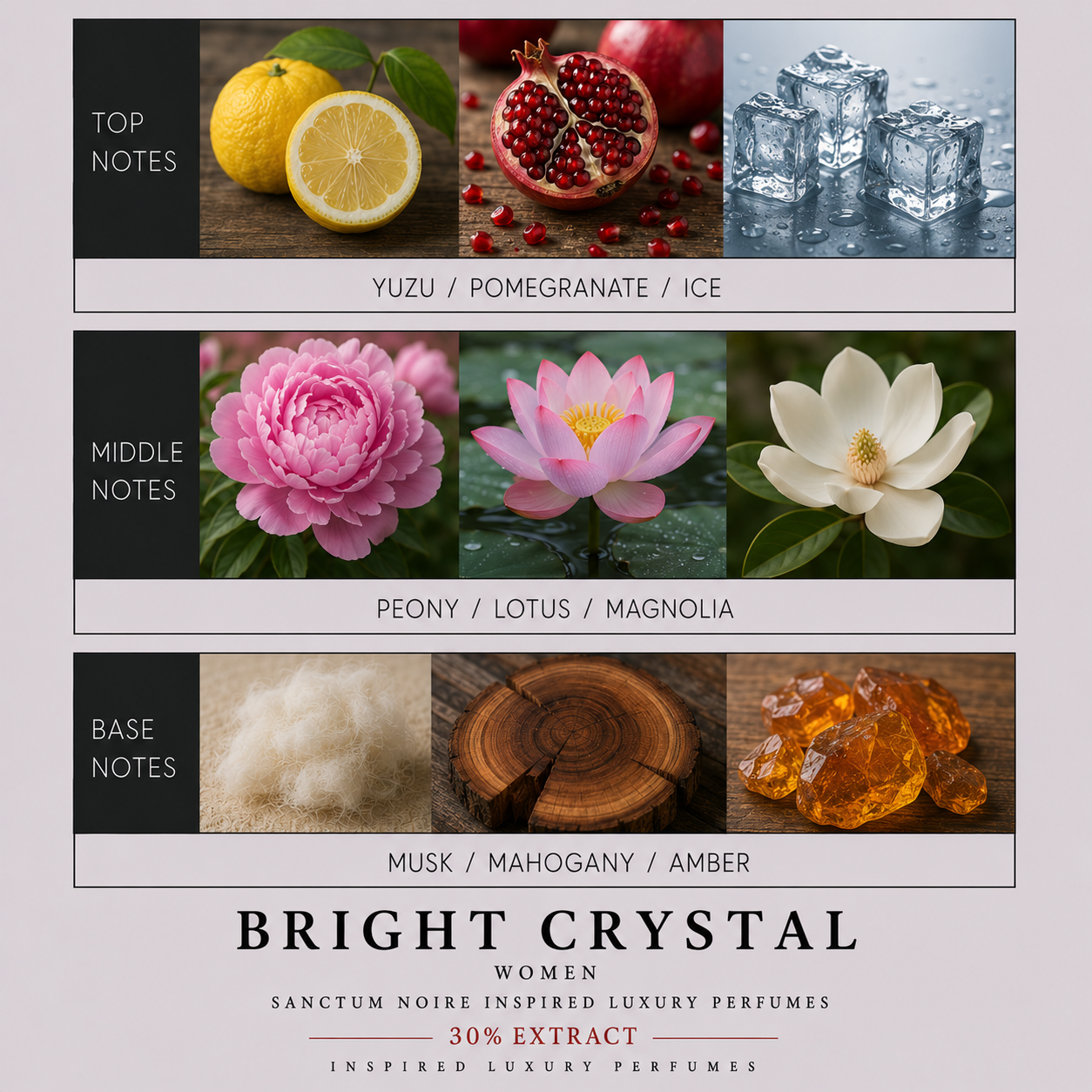 Bright Crystal Women Sanctum Noire Inspired Luxury Perfumes