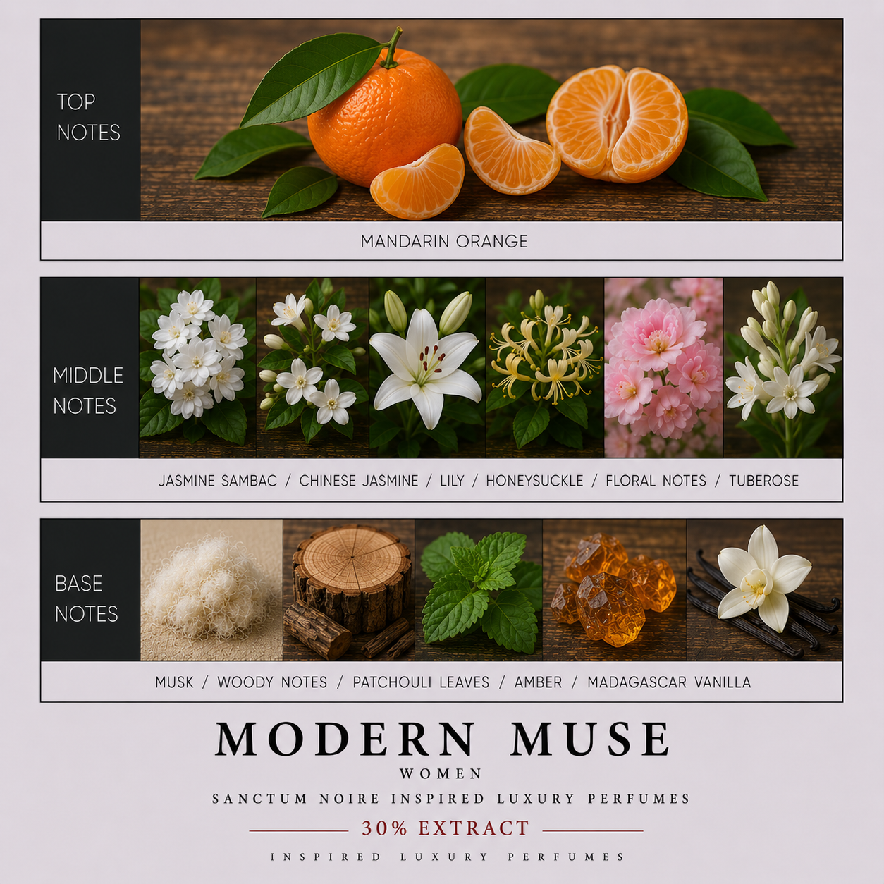 Modern Muse Women Sanctum Noire Inspired Luxury Perfumes